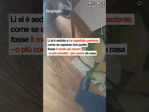 Il cane accompagna i soccorritori a prendere il suo guinzaglio prima di uscire dalla casa in fiamme