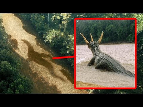 Pescatori Statunitensi hanno Visto Qualcosa di Enorme in un Fiume… e Non Era un Pesce!
