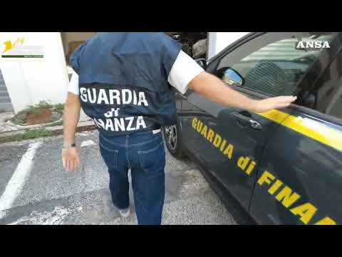 La Finanza sequestra prodotti contraffatti per tre milioni di euro