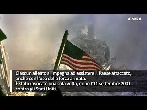 Cosa prevede l’art.4 del Trattato Nord Atlantico
