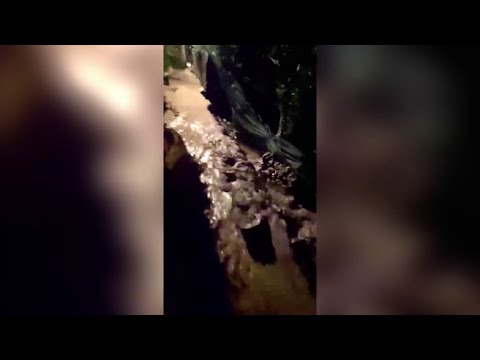Esondato torrente a Blevio, nel Comasco. La furia delle acque ripresa in un video