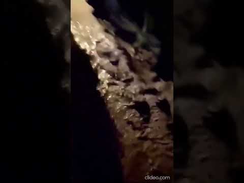 Esondato torrente a Blevio, nel Comasco. La furia delle acque ripresa in un video #shorts #news