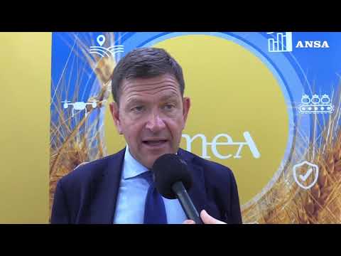 Riso campione in gestione del rischio, valore assicurato: 650 milioni