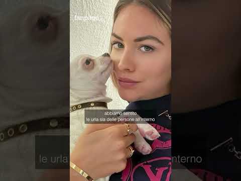Pamela Genini uccisa a 29 anni in casa a Milano dal compagno