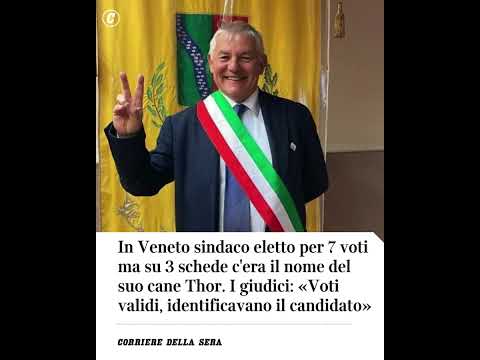 In Veneto sindaco eletto per 7 voti ma su 3 schede c’era il nome del suo cane Thor. «Voti validi»