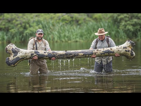 Scienziati del Mississippi Scoprono un Enorme Fossile di Drago Marino