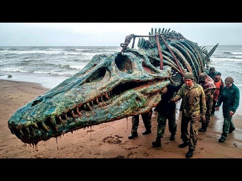 Il più grande fossile di mostro marino scoperto accidentalmente negli Stati Uniti