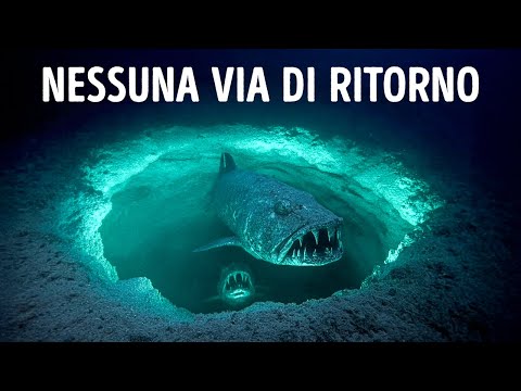 Trappole inquietanti trovate sul fondo del Mar Rosso