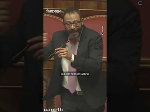 Patuanelli (M5S) ironizza: “Manovra cangiante: da una parte la tassa sulle banche, dall’altra no”