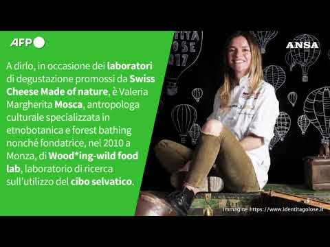 Ansa VERIFIED – E’ vero che si puo’ mangiare l’Albero di Natale?