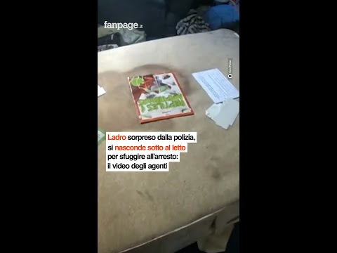 Ladro sorpreso dalla polizia, si nasconde sotto al letto per sfuggire all’arresto