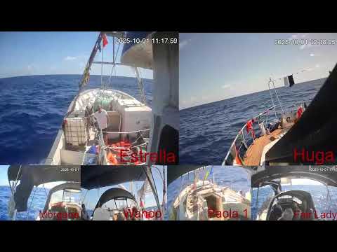 LIVE Flotilla verso Gaza: diretta dalle barche entrate nella zona di rischio