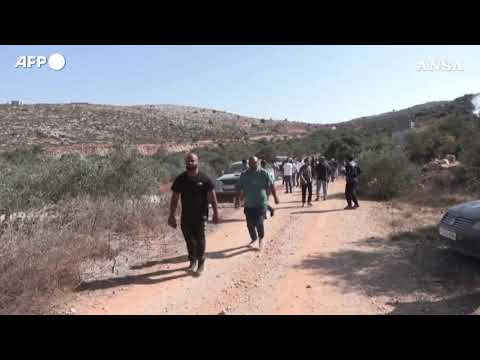 Cisgiordania, l’Esercito israeliano disperde un gruppo di agricoltori e attivisti