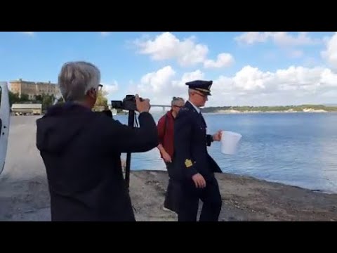 Taranto, 150 cavallucci marini tornano nel mar Piccolo