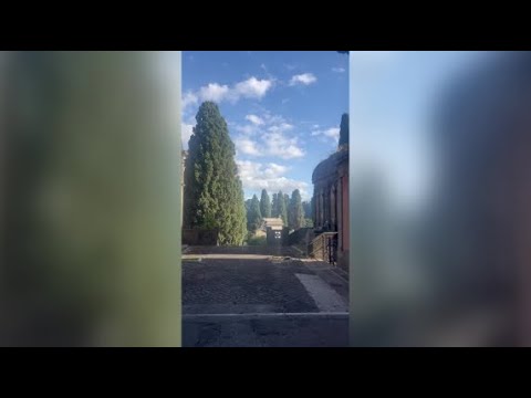 Roma, profanazioni al Verano: tomba devastata e bara scoperta