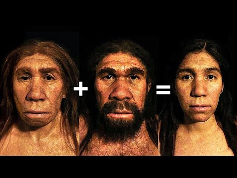 Le Ultime Scoperte sull’Evoluzione Umana che Riscrivono la Storia