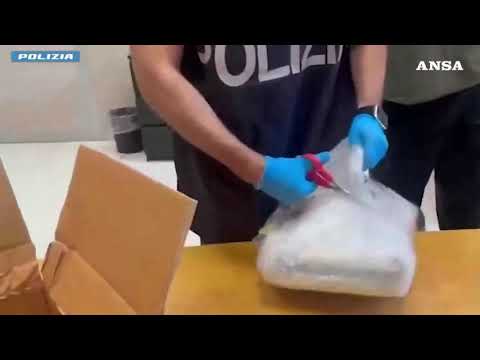 Milano, arrestati per falsificazione documenti internazionali