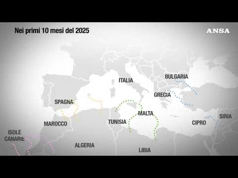 Quali sono i flussi migratori in Europa