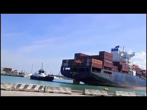 La nave israeliana Zim Virginia entra in porto a Livorno: accolta da clacson, fischi e insulti