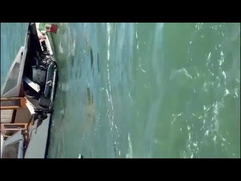 Venezia, il video dello scontro in laguna tra un vaporetto e un taxi