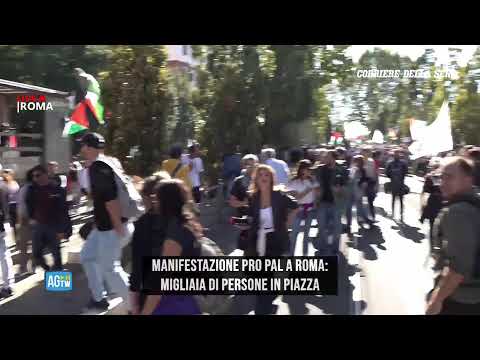 Manifestazione Pro Pal a Roma