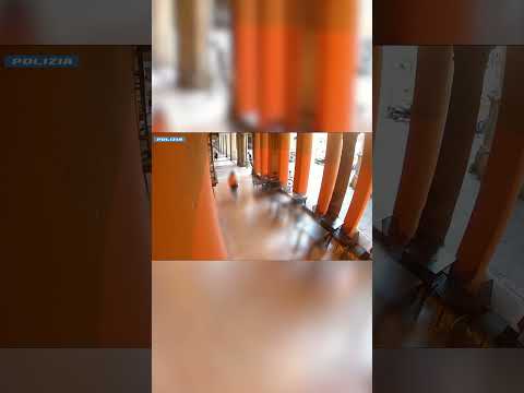 Catenine rubate ai passanti in centro a Bologna