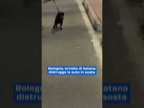 Bologna: armato di katana distrugge le auto in sosta
