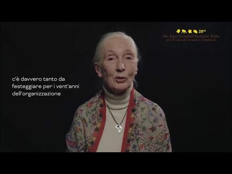 Il saluto in scimpanzese di Jane Goodall