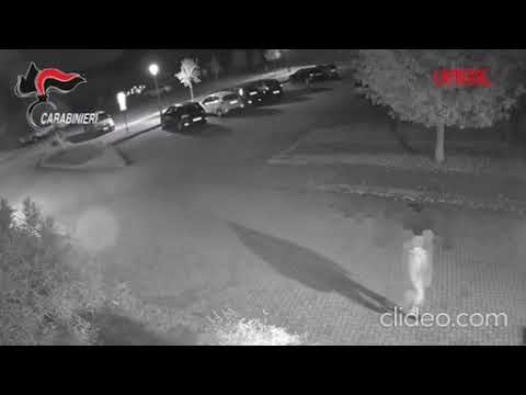 Varese, l’arresto di Elia Del Grande e il tentativo di fuga in pedalò