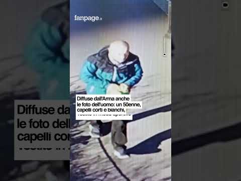 Accoltellata alle spalle in piazza Gae Aulenti: il video dei carabinieri