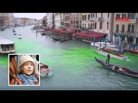 Le acque di Canal Grande a Venezia tinte di verde dagli ecoattivisti: tra loro anche Greta Thunberg