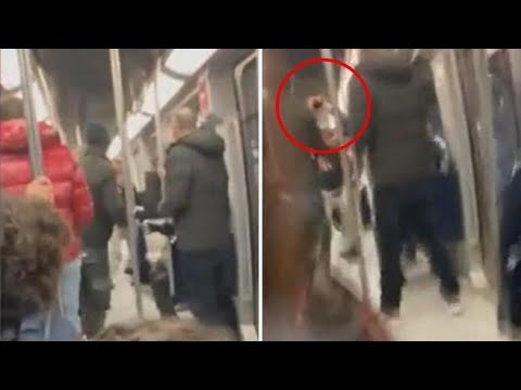 Aggredito un fotografo LaPresse mentre seguiva la manifestazione di «Non una di meno» a Torino