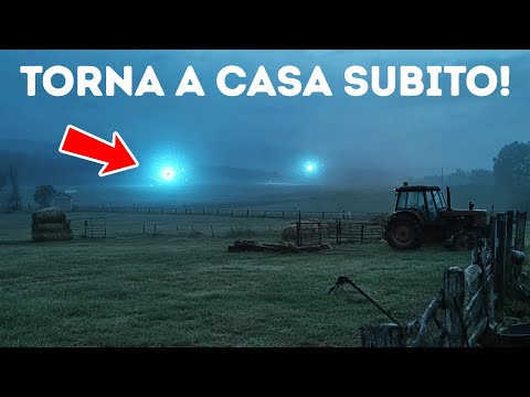 Se Vedi Queste Luci Non Aspettare, Cercate Riparo!