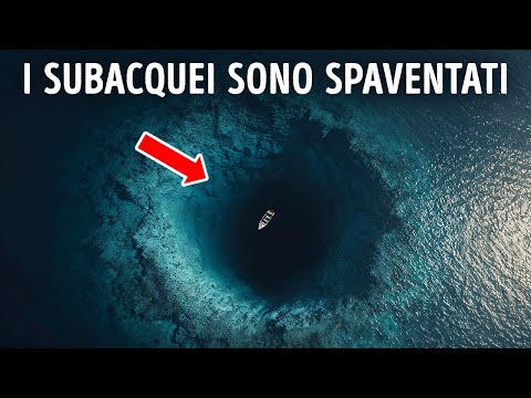 Appena Scoperto in Messico il più Profondo Blue Hole — Ed è Terrificante