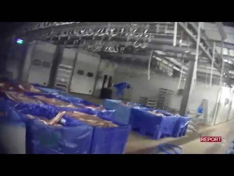 Lo scandalo della carne scaduta rimessa in commercio nel servizio di «Report»