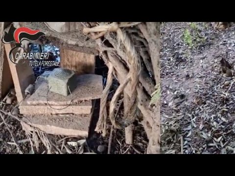 Bracconaggio, una denuncia in Valsabbia