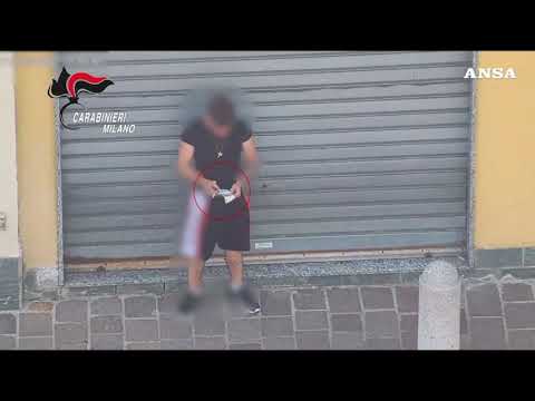 Undici arresti nel Milanese per traffico di droga