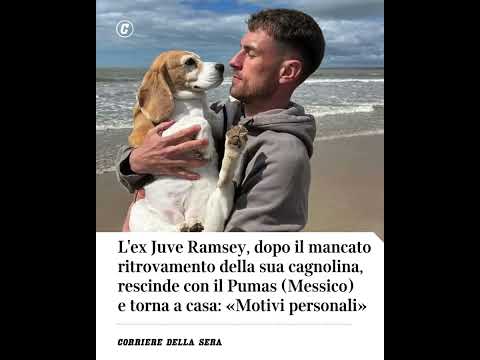 L’ex Juve Ramsey, dopo il mancato ritrovamento della sua cagnolina, rescinde con il Pumas #shorts