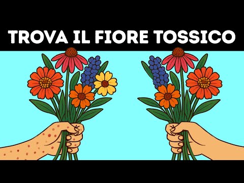 16 Indovinelli che ti Alleneranno a Scoprire i Dettagli Nascosti