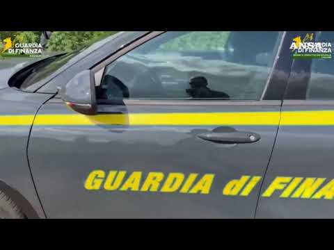 Piantagione con 4.600 alberi di marijuana scoperta nel Sassarese