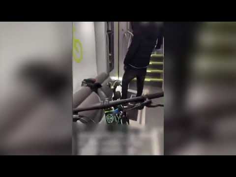 L’aggressione a una modella brasiliana sul treno per Milano in un video