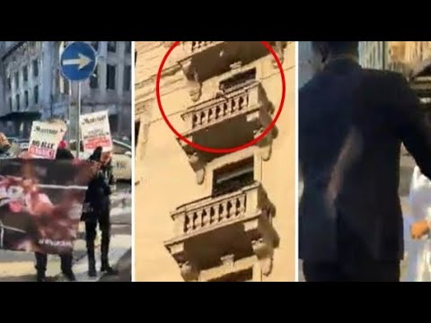 Protesta Animal Equality a Milano, una donna spazientita lancia oggetti e bottiglie dal balcone