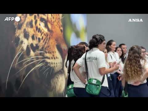 In Brasile, al via la conferenza COP30 sui cambiamenti climatici