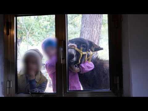 Abruzzo, la storia della famiglia che vive nel bosco: «Senza acqua corrente né scuola ma felici»