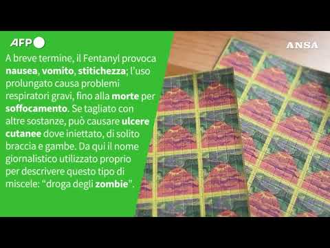 E’ vero che c’e’ una emergenza Fentanyl anche in Italia?