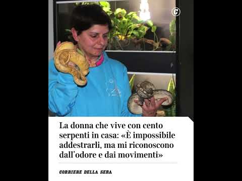 La donna che vive con cento serpenti in casa: «Mi riconoscono dall’odore e dai movimenti»