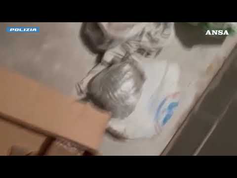 Narcotraffico, smantellata dalla polizia organizzazione di matrice albanese