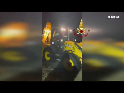 Nel Cagliaritano portati in salvo nove cani dopo l’esondazione di un corso d’acqua