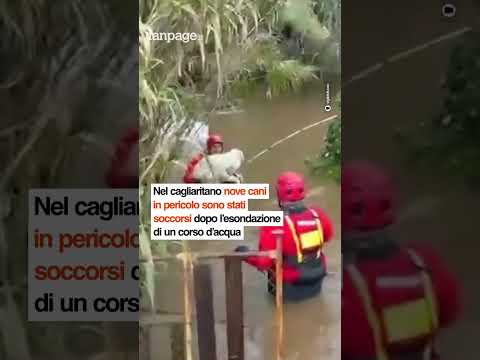 Allerta rossa in Sicilia, Sardegna e Calabria per il maltempo: le immagini