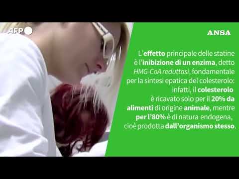 ANSA VERIFIED – E’ vero che le statine anti-colesterolo vanno assunte con degli integratori?
